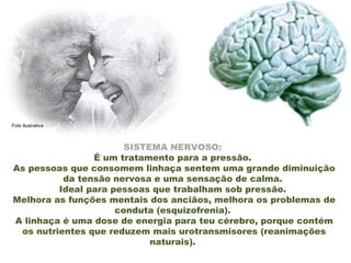 SISTEMA NERVOSO:  É um tratamento para a pressão.  As pessoas que consomem linhaça sentem uma grande diminuição da tensão nervosa e uma sensação de calma.  Ideal para pessoas que trabalham sob pressão.  Melhora as funções mentais dos anciãos, melhora os problemas de conduta (esquizofrenia).  A linhaça é uma dose de energia para teu cérebro, porque contém os nutrientes que reduzem mais urotransmisores (reanimações naturais).  Foto ilustrativa 