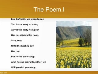 The Poem.I
Fair Daffodils, we weep to see
You haste away so soon;
As yet the early-rising sun
Has not attain'd his noon.
Stay, stay,
Until the hasting day
Has run
But to the even-song;
And, having pray'd together, we
Will go with you along.
 