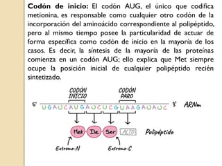 toda la materia biologia copy.pdfvvvvvvvvvv | PDF