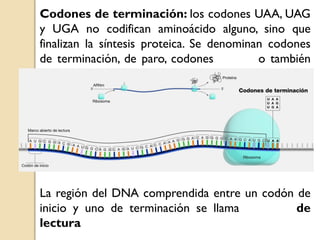 toda la materia biologia copy.pdfvvvvvvvvvv | PDF