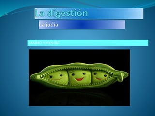 La judía
MARIO Y YANIRE
 