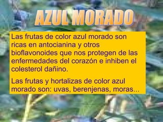 AZUL MORADO Las frutas de color azul morado son ricas en antocianina y otros bioflavonoides que nos protegen de las enfermedades del corazón e inhiben el colesterol dañino. Las frutas y hortalizas de color azul morado son: uvas, berenjenas, moras … 