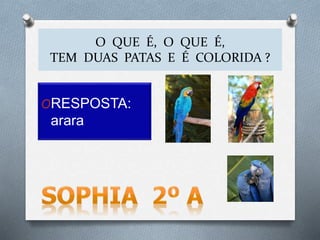 O QUE É, O QUE É,
TEM DUAS PATAS E É COLORIDA ?
ORESPOSTA:
arara
 