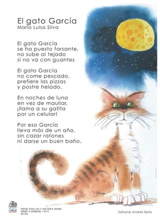 Todas laminas mineduc