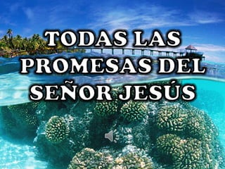 Todas las promesas del Señor Jesús