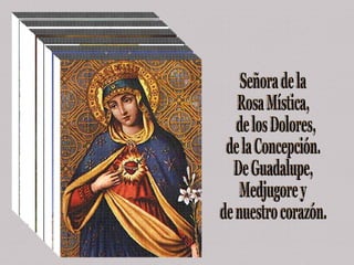 Señora de la  Rosa Mística, de los Dolores,  de la Concepción. De Guadalupe,  Medjugore y  de nuestro corazón. 