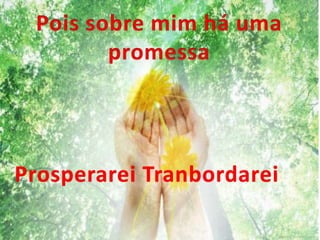 Prosperarei Tranbordarei
 