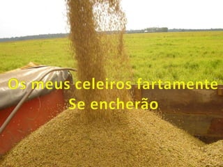 Toda sorte de bencaos