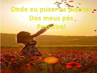 Toda sorte de bencaos