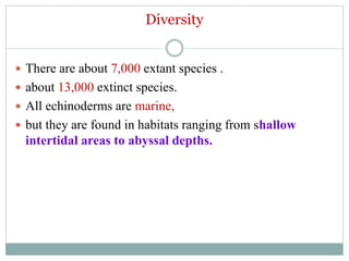 Diversity
 There are about 7,000 extant species .
 about 13,000 extinct species.
 All echinoderms are marine,
 but they are found in habitats ranging from shallow
intertidal areas to abyssal depths.
 
