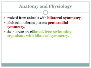 Anatomy and Physiology
 evolved from animals with bilateral symmetry.
 adult echinoderms possess pentaradial
symmetry,
 their larvae are ciliated, free-swimming
organisms with bilateral symmetry.
 