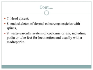 Cont....
 7. Head absent;
 8. endoskeleton of dermal calcareous ossicles with
spines,
 9. water-vascular system of coelomic origin, including
podia or tube feet for locomotion and usually with a
madreporite.
 
