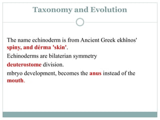 Taxonomy and Evolution
The name echinoderm is from Ancient Greek ekhînos'
spiny, and dérma 'skin'.
Echinoderms are bilaterian symmetry
deuterostome division.
mbryo development, becomes the anus instead of the
mouth.
 