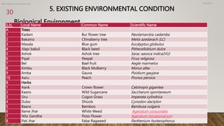 5. EXISTING ENVIRONMENTAL CONDITION
Biological Environment
4/2/2023
Birat Veneer and Ply Pvt. ltd.
30
S.N. Local Name Common Name Scientific Name
A Trees
1 Kadam Bur flower tree Neolamarckia cadamba
2 Bakaino Chinaberry tree Melia azedarach (LC)
3 Masala Blue gum Eucalyptus globulus
4 Jilapi babul Black beed Pithecellobium dulce
5 Ashok Ashok tree Sarac aasoca indica(VU)
6 Pipal Peepal Ficus religiosa
7 Bel Bael fruit Aegle marmelos
8 Kimbu Black Mulberry Morus alba
9 Amba Gauva Pisidium gaujava
10 Aaru Peach Prunus persica
B Herbs
1 Aank Crown flower Calotropis gigantea
2 Kaans Wild Sugarcane Saccharum spontaneum
3 Siru Cogon Grass Imperata cylindrica
4 Dubo Dhoob Cynodon dactylon
5 Baans Bamboo Bambusa vulgaris
6 Ilame Jhar White Weed Ageratum conyzoides
7 Nilo Gandhe Floss Flower Ageratum houstonianum
8 Pati Jhar False Ragweed Parthenium hysterophorus
 