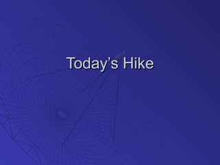 Today’s HikeToday’s Hike
 