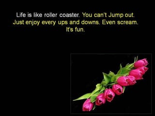 Today’s message  collection – english –    16th part