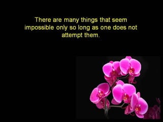 Today’s message  collection – english –    16th part