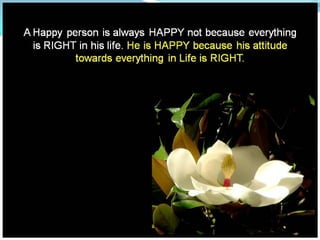 Today’s message  collection – english –    16th part