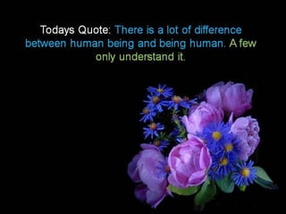 Today’s message  collection – english –    16th part