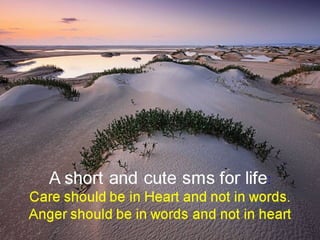 Today’s message  collection – english –    16th part