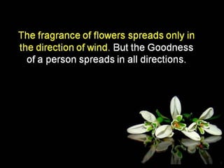 Today’s message  collection – english –    16th part