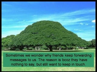 Today’s message  collection – english –    16th part