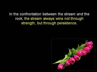 Today’s message  collection – english –    16th part