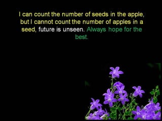 Today’s message  collection – english –    16th part