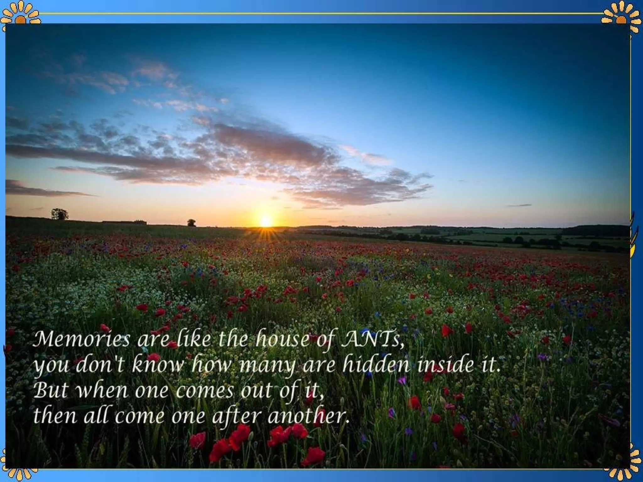 Today's message collections 4th part