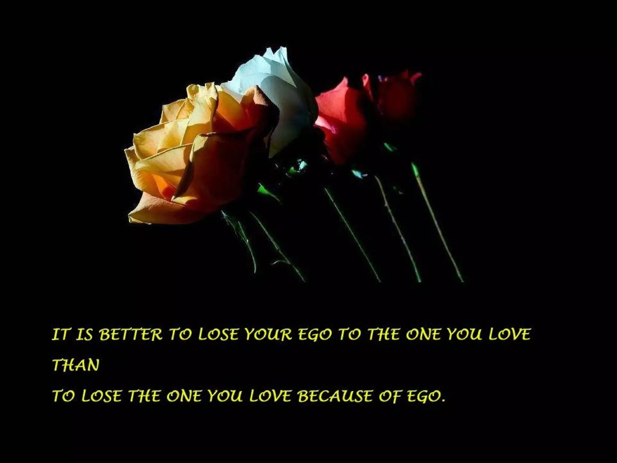 Today's message collections 4th part