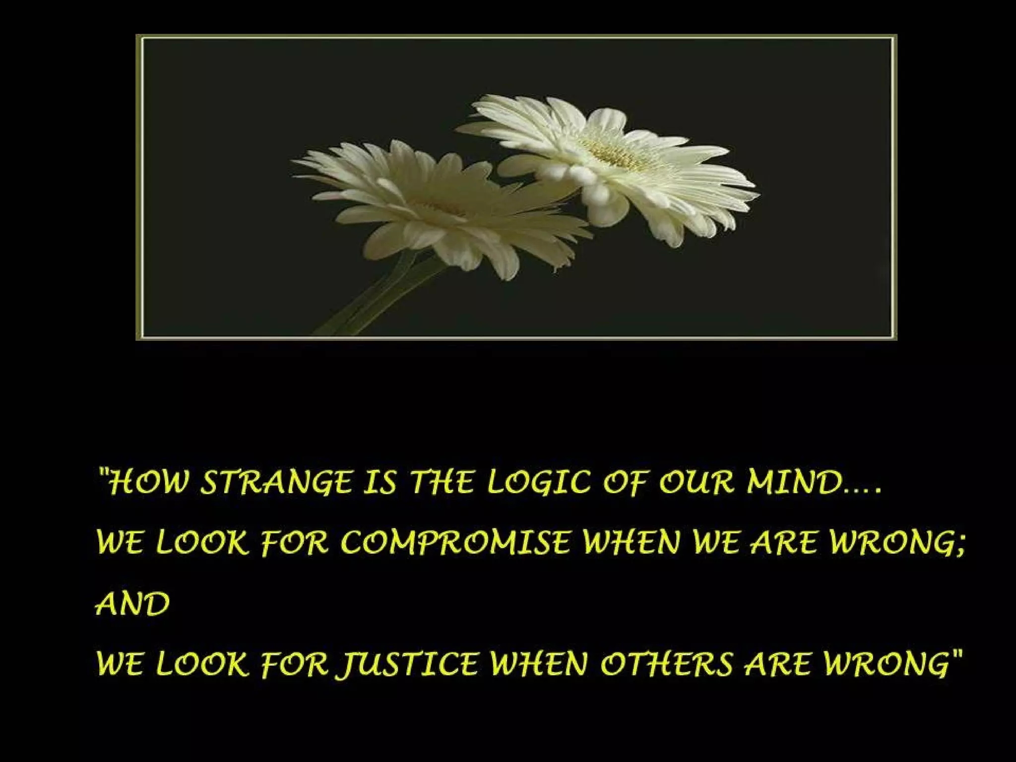 Today's message collections 4th part