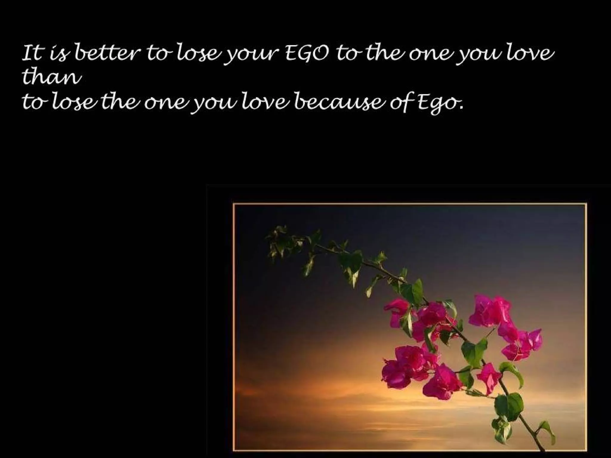 Today's message collections 4th part