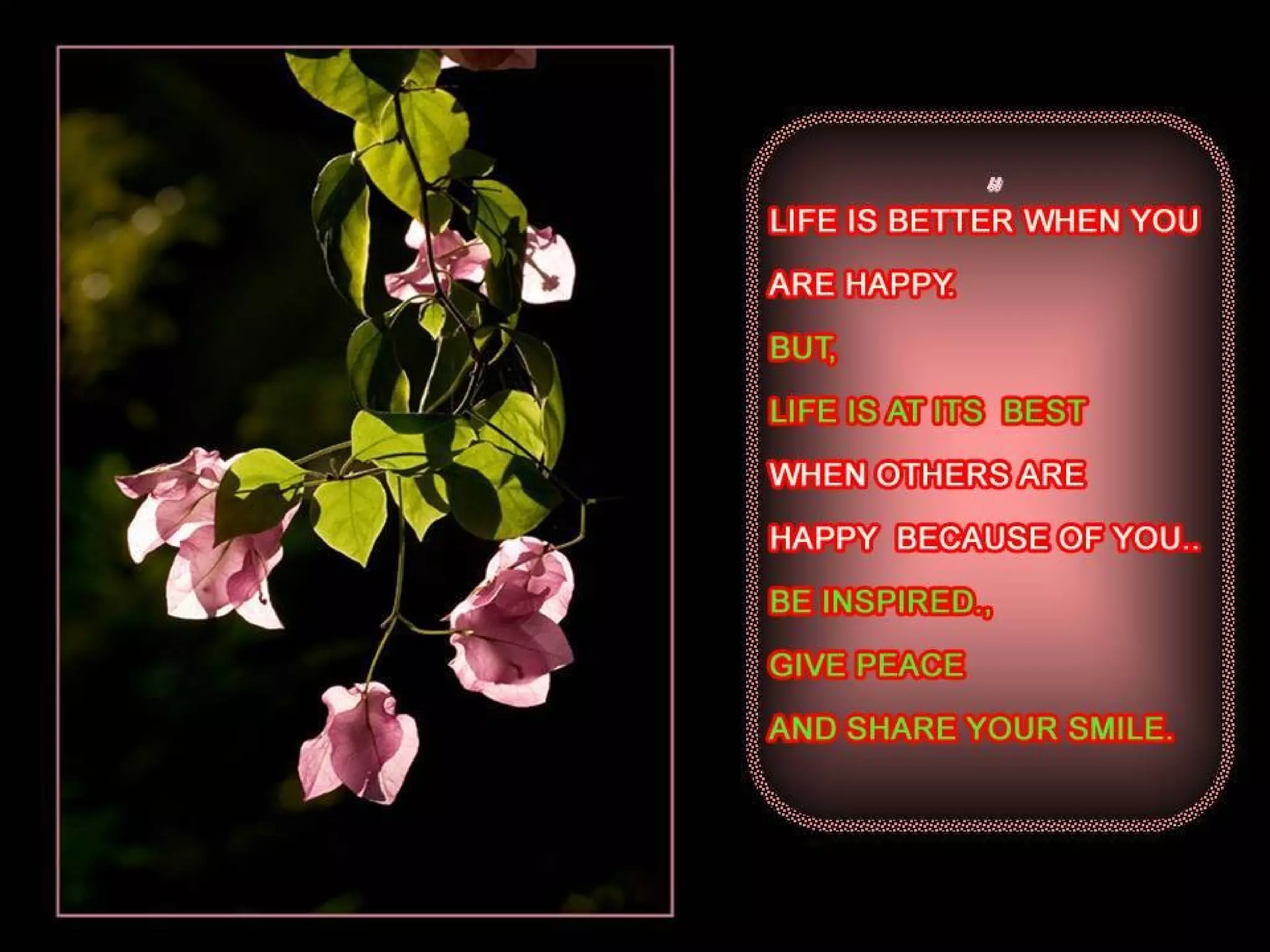 Today's message collections 4th part