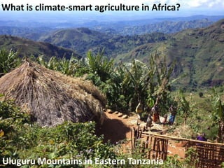 What is climate-smart agriculture in Africa? 
Uluguru Mountains in Eastern Tanzania 
 