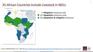 Livestock transitions: Global options and local realities for adaptation and mitigation 