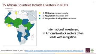 Livestock transitions: Global options and local realities for adaptation and mitigation 