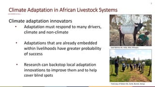 Livestock transitions: Global options and local realities for adaptation and mitigation 