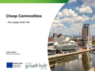 Cheap Commodities
- the supply chain risk
Todd Holden
Director for Low Carbon
 