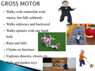  Walks with somewhat wide
stance, but falls seldomly
 Walks sideways and backward
 Walks upstairs with one hand
held
 Runs and falls
 Climbs on furniture
 Explores drawers, closets etc
 Pulls and pushes toys
 
