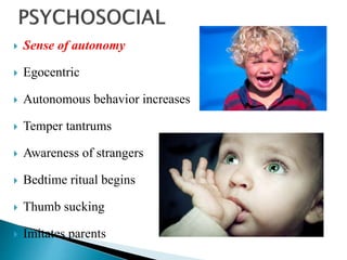  Sense of autonomy
 Egocentric
 Autonomous behavior increases
 Temper tantrums
 Awareness of strangers
 Bedtime ritual begins
 Thumb sucking
 Imitates parents
 