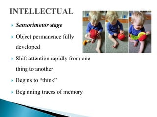  Sensorimotor stage
 Object permanence fully
developed
 Shift attention rapidly from one
thing to another
 Begins to “think”
 Beginning traces of memory
 