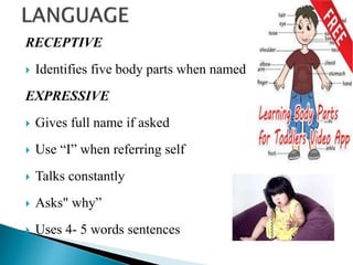 RECEPTIVE
 Identifies five body parts when named
EXPRESSIVE
 Gives full name if asked
 Use “I” when referring self
 Talks constantly
 Asks" why”
 Uses 4- 5 words sentences
 