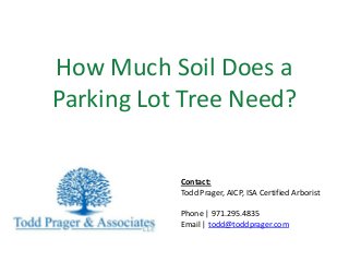 How Much Soil Does a
Parking Lot Tree Need?
Contact:
Todd Prager, AICP, ISA Certified Arborist
Phone | 971.295.4835
Email | todd@toddprager.com

 