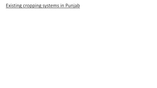 Existing cropping systems in Punjab