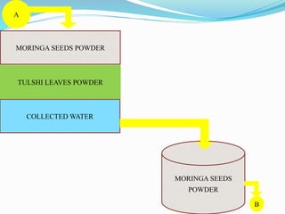 MORINGA SEEDS POWDER
MORINGA SEEDS
POWDER
COLLECTED WATER
TULSHI LEAVES POWDER
A
B
 