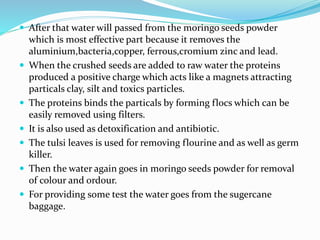  After that water will passed from the moringo seeds powder
which is most effective part because it removes the
aluminium,bacteria,copper, ferrous,cromium zinc and lead.
 When the crushed seeds are added to raw water the proteins
produced a positive charge which acts like a magnets attracting
particals clay, silt and toxics particles.
 The proteins binds the particals by forming flocs which can be
easily removed using filters.
 It is also used as detoxification and antibiotic.
 The tulsi leaves is used for removing flourine and as well as germ
killer.
 Then the water again goes in moringo seeds powder for removal
of colour and ordour.
 For providing some test the water goes from the sugercane
baggage.
 