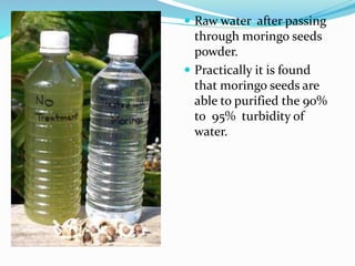  Raw water after passing
through moringo seeds
powder.
 Practically it is found
that moringo seeds are
able to purified the 90%
to 95% turbidity of
water.
 