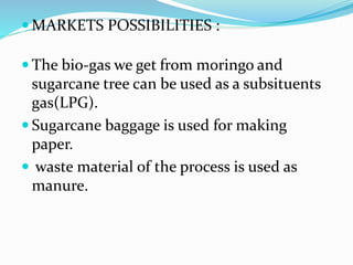  MARKETS POSSIBILITIES :
 The bio-gas we get from moringo and
sugarcane tree can be used as a subsituents
gas(LPG).
 Sugarcane baggage is used for making
paper.
 waste material of the process is used as
manure.
 
