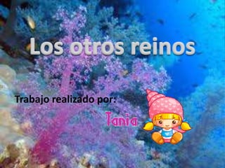 Trabajo realizado por:
 