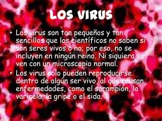 Los virus
• Los virus son tan pequeños y tan
  sencillos que los científicos no saben si
  son seres vivos o no; por eso, no se
  incluyen en ningún reino. Ni siquiera se
  ven con un microscopio normal.
• Los virus solo pueden reproducirse
  dentro de algún ser vivo, al que causan
  enfermedades, como el sarampión, la
  varicela, la gripe o el sida.
 